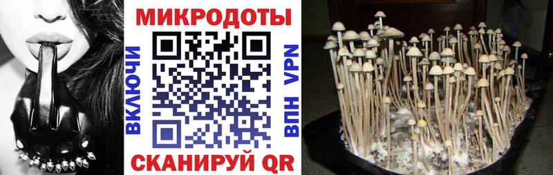 Галлюциногенные грибы Psilocybine cubensis  KRAKEN ссылка  Тихвин 